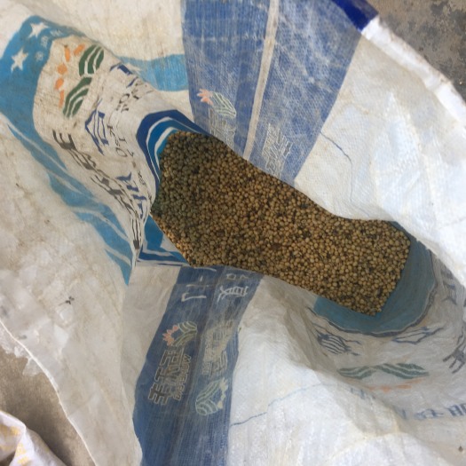 庐江县野大豆 生大豆 1等品