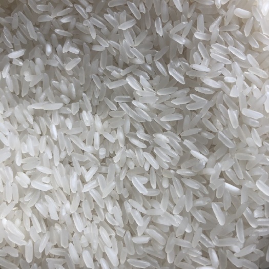 东莞市丰两优大米 一等品 一季稻 籼米