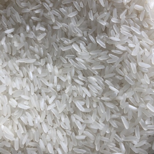 丰两优大米 一等品 一季稻 籼米