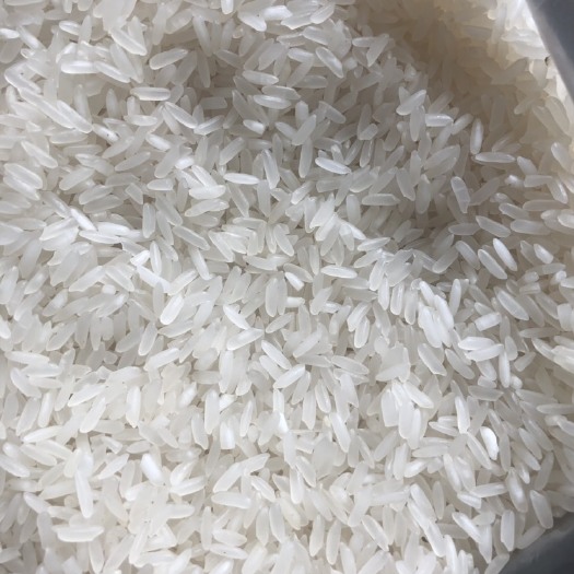  优质大米 当季新米