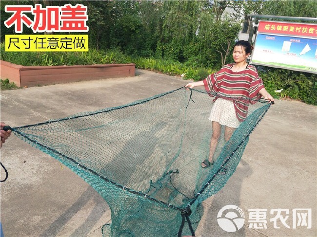 定做大网箱养殖网专用水库养鱼网相小型塑料渔网暂养大鱼鱼苗带盖