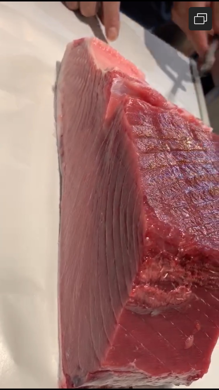  蓝鳍金枪鱼中段刺身，今天现切的