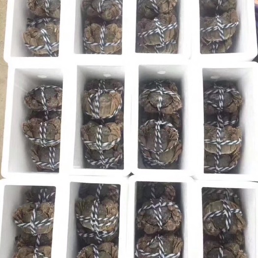 宣城 大闸蟹，自产自销