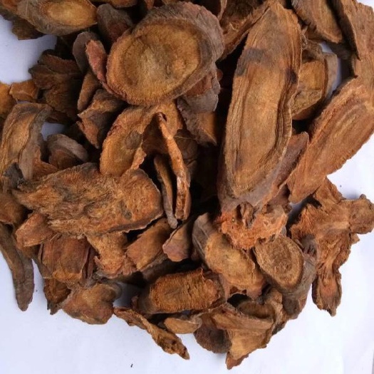小金县精选优质马蹄大黄