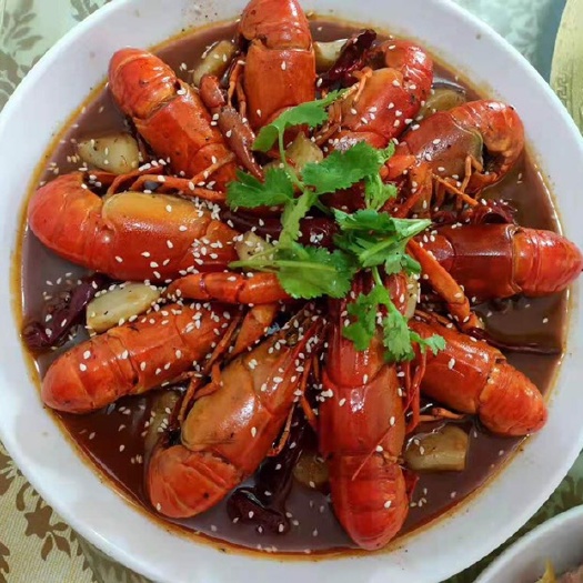 广州 小龙虾一新贵澳洲淡水龙虾