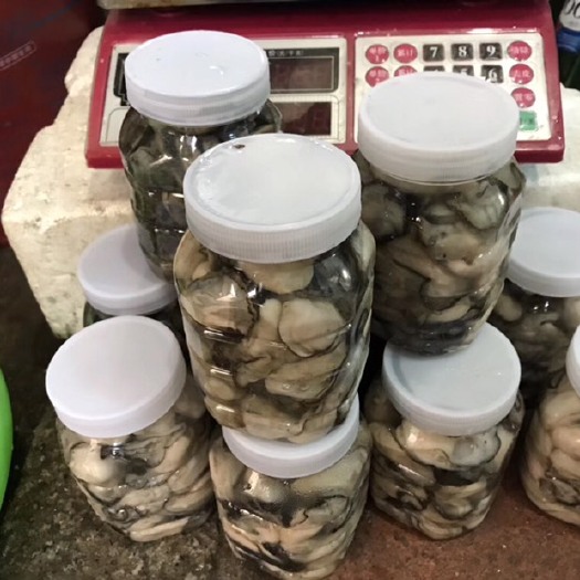 饶平县牡蛎肉.海蛎肉生蚝肉.珍珠生蚝肉3-5斤装（省内包邮）有量有