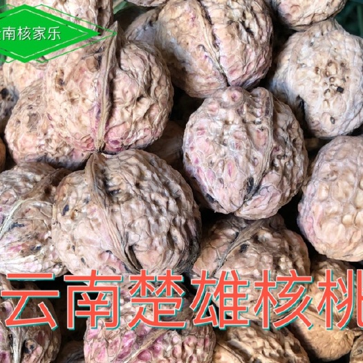 楚雄市云南漾濞核桃 包邮19年新货云南楚雄八角镇原产地本地特产孕妇儿童坚果