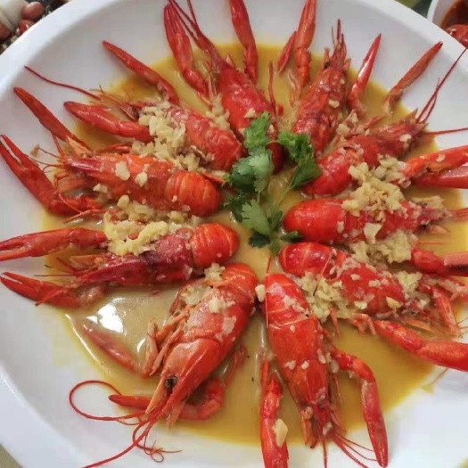 广州 龙虾新贵——澳洲小龙虾