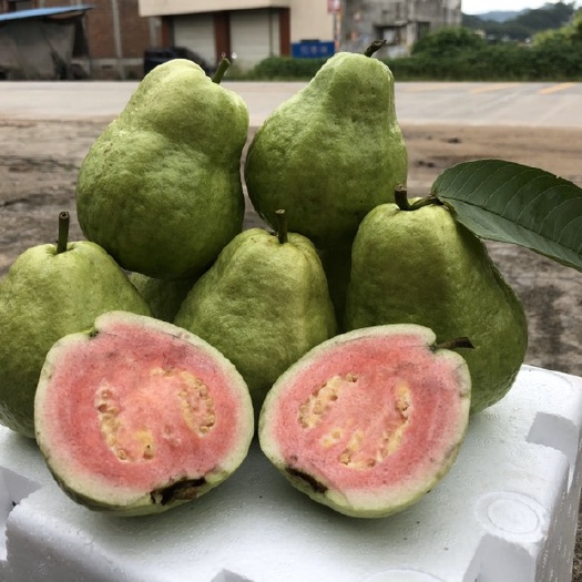 容县 红心芭乐