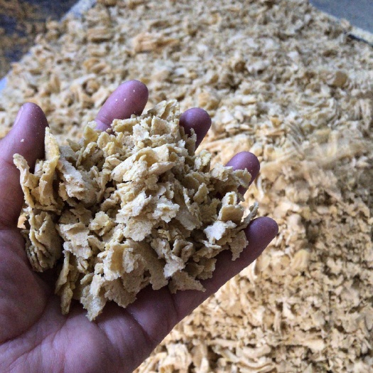 安达市垦豆40 东北大量豆饼产量原产地