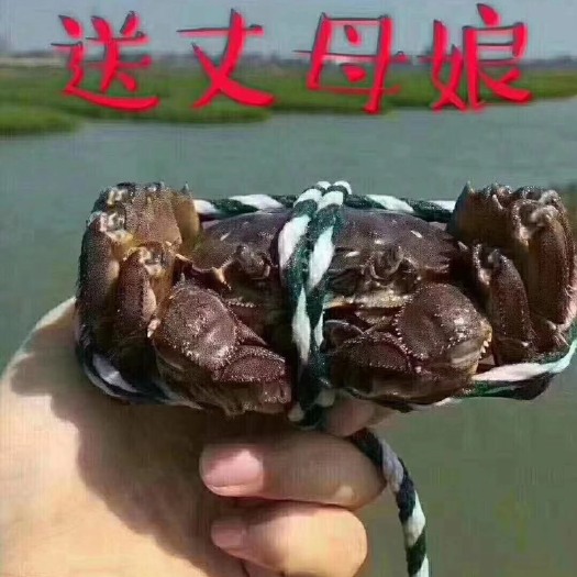 兴化市兴化大闸蟹 统货 2.5-3.0两