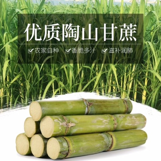 瑞安市 优质陶山甘蔗，自家老爸种的，超级甘甜