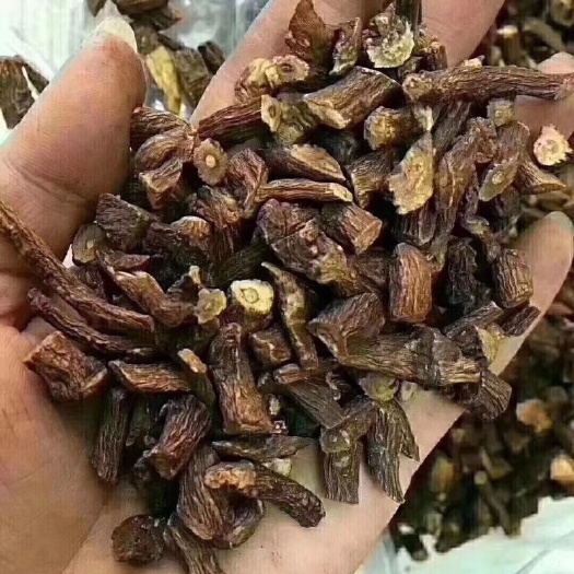 伊春蒲公英茶 蒲公英根 叶 茶