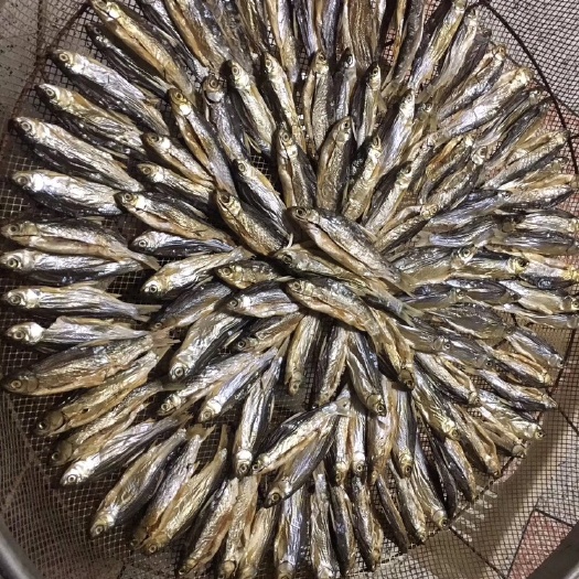 长沙 洞庭刁子鱼干