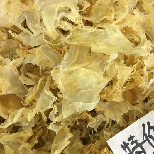 佛山正宗鱼肚 花胶碎 足干胶质好 酒店糖水店专用