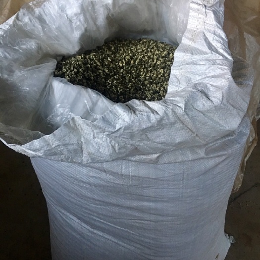 昆明 云南绿茶春茶碧螺春