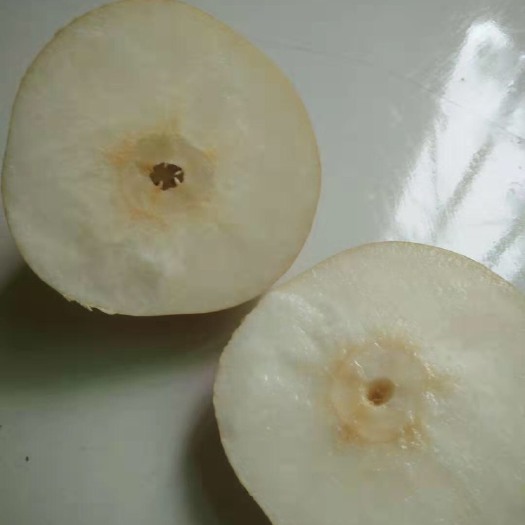 沁阳市 金果梨