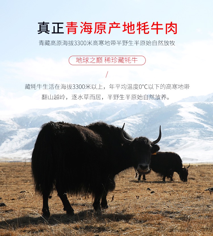  青海牦牛后腿肉包 真空食材产地直发 正宗牦牛
