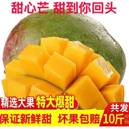 佛山四川攀枝花凯特芒果新鲜大芒果青皮芒果应季水果新鲜芒果
