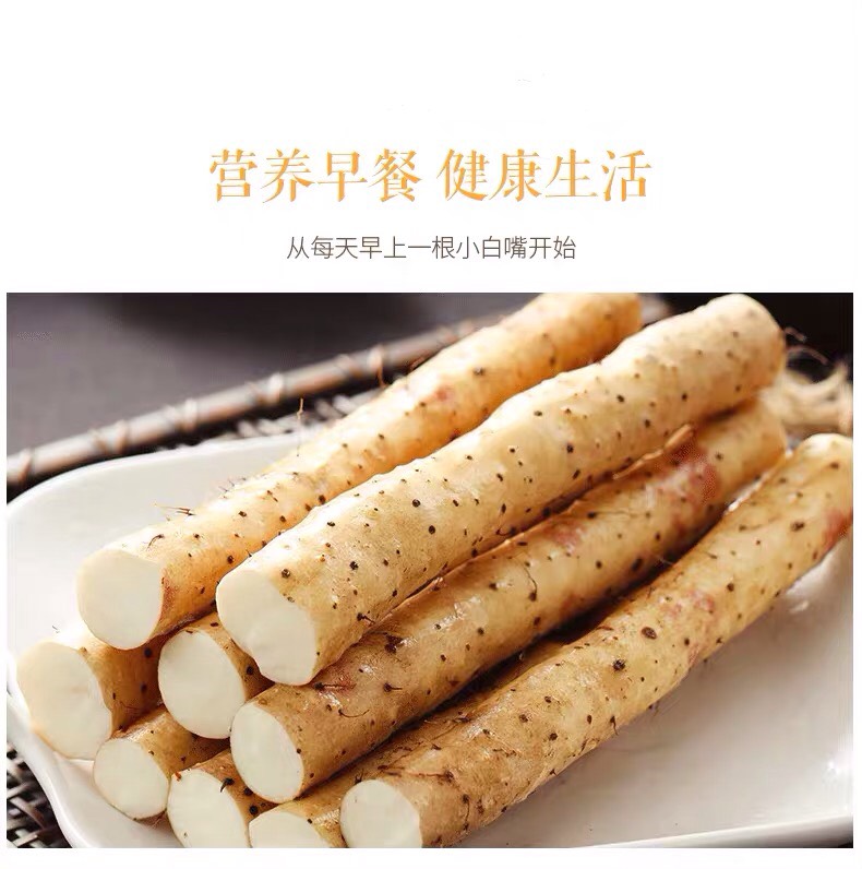 铁棍山药 通货