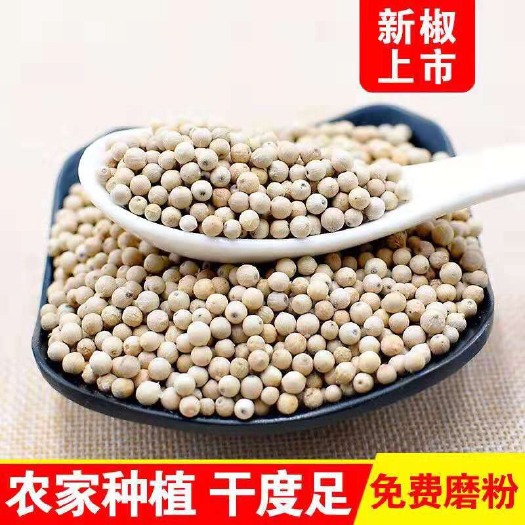 白胡椒粒海南农家现磨调料纯胡椒粉可批发