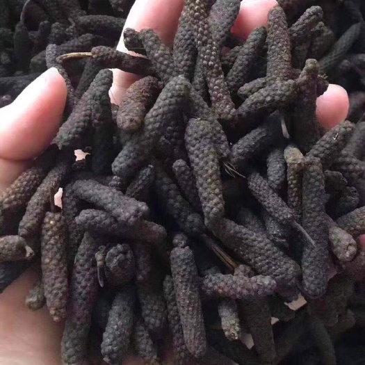 郑州荜茇 大筚拨，全干。保质保量。一手货源。