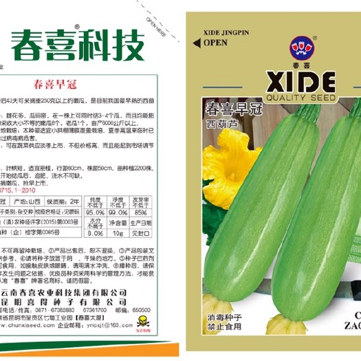 嵩明县绿皮西葫芦种子 春喜早冠
