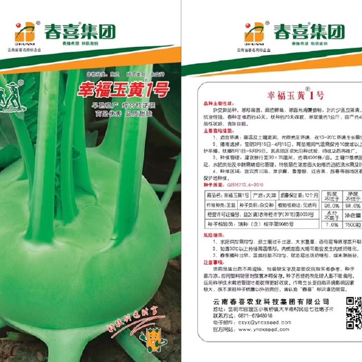 嵩明县苤蓝种子 辛福玉黄1号