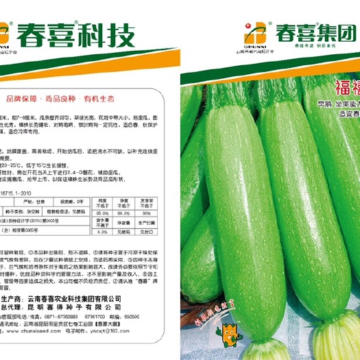 嵩明县绿皮西葫芦种子 福禧云霞