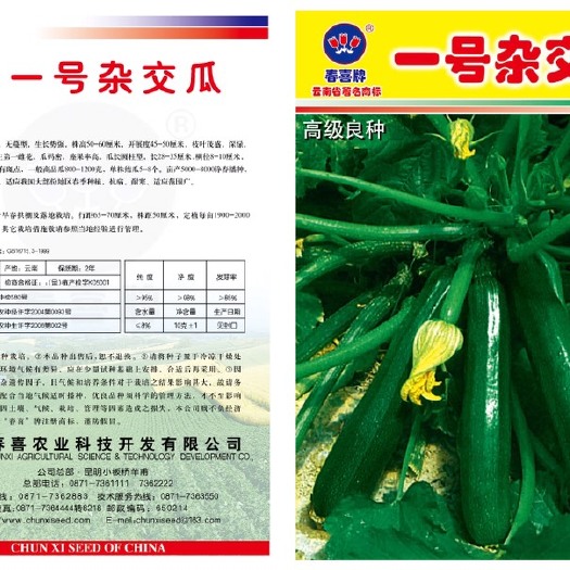 嵩明县黑皮西葫芦种子 一号杂交瓜