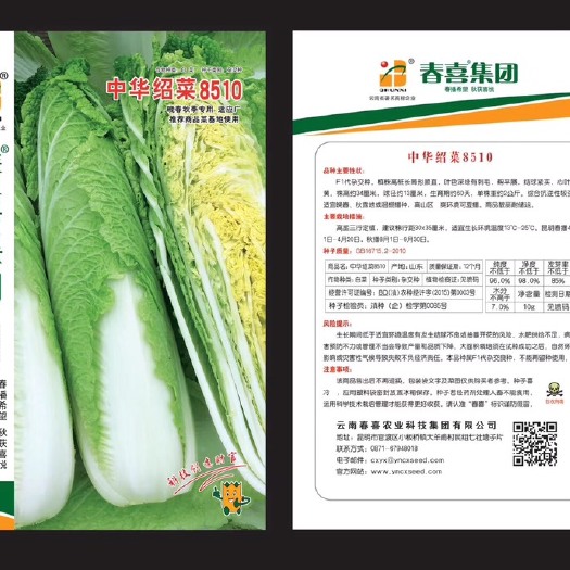 嵩明县大白菜种子 中华绍菜8510