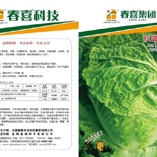 嵩明县大白菜种子 秋喜1501 （火锅菜）