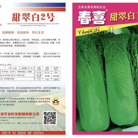 嵩明县大白菜种子 甜翠白2号