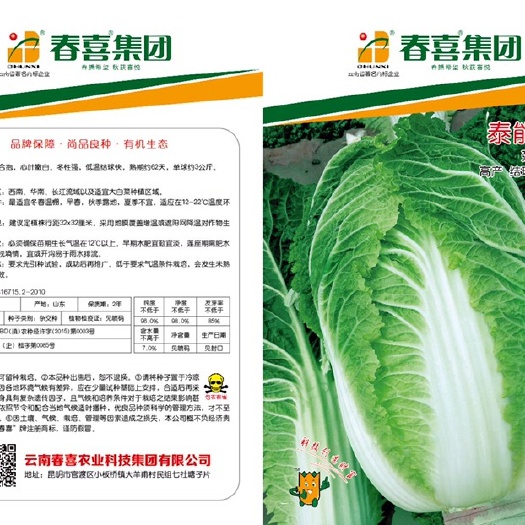 嵩明县大白菜种子 泰能绿健