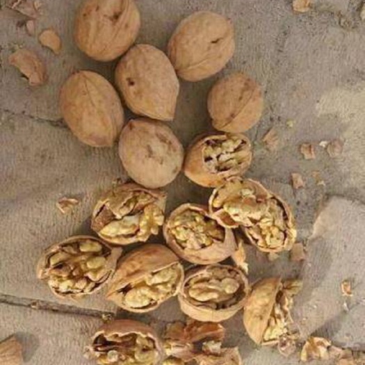 秦皇岛清香核桃 45mm以上 去皮 散装