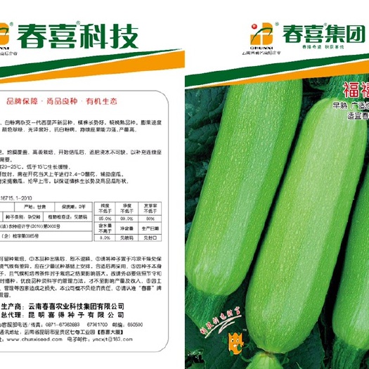 嵩明县绿皮西葫芦种子 福禧瑞廷