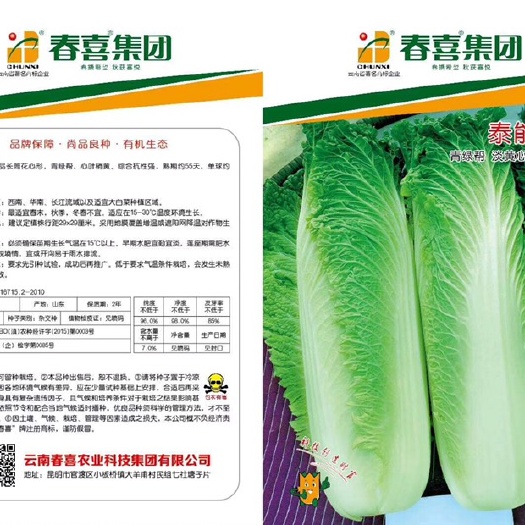 嵩明县大白菜种子 泰能武士