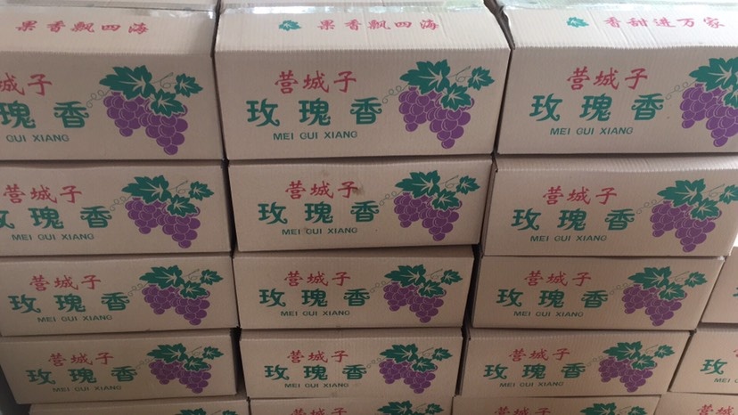 大连大连对门沟有机葡萄