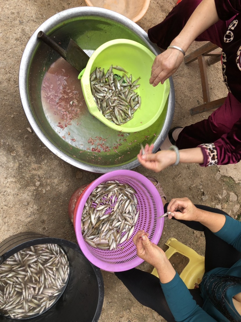 小麦穗鱼干 烟熏麦穗鱼—-千金易得、好鱼难求。一切