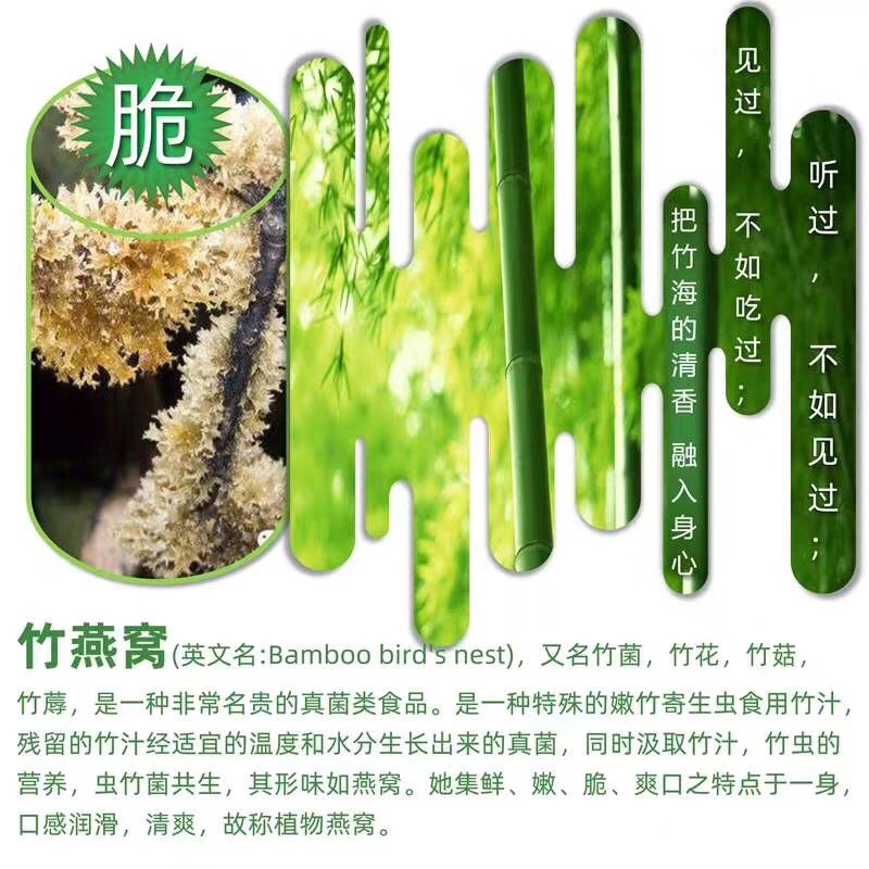 长宁县竹菌 野生 鲜货
