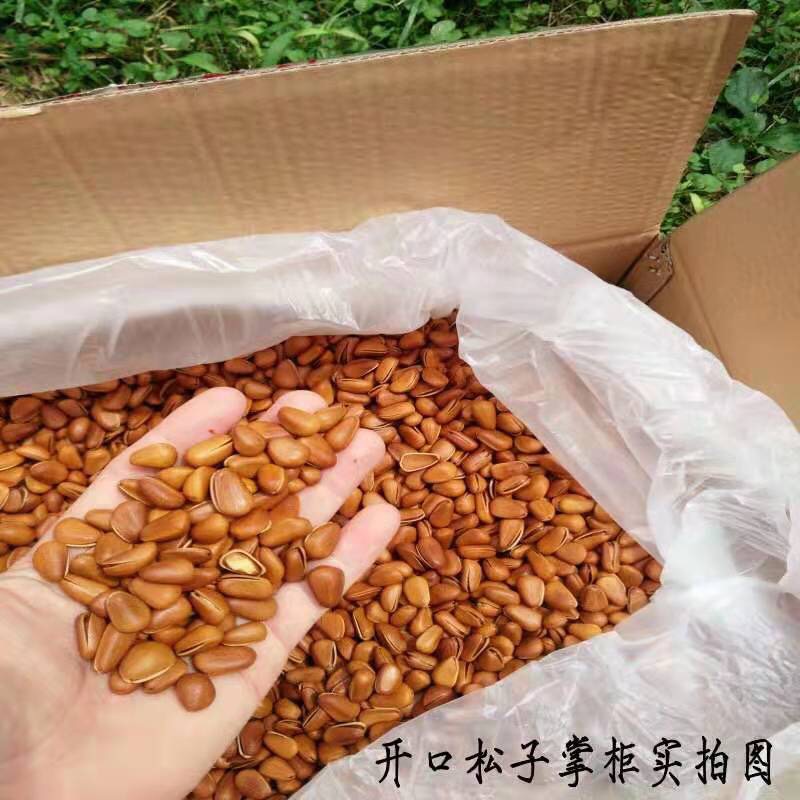  超大粒手剥开口松子，休闲，批发