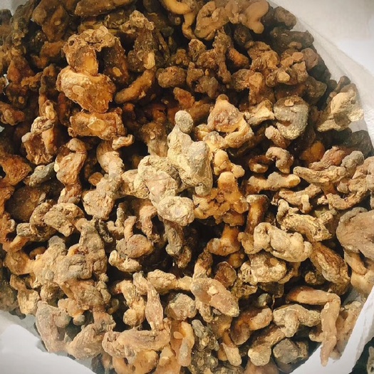 茶陵县 姜型黄精