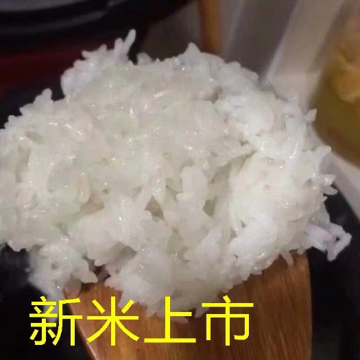 丹阳市南粳9108大米 一等品 晚稻 粳米