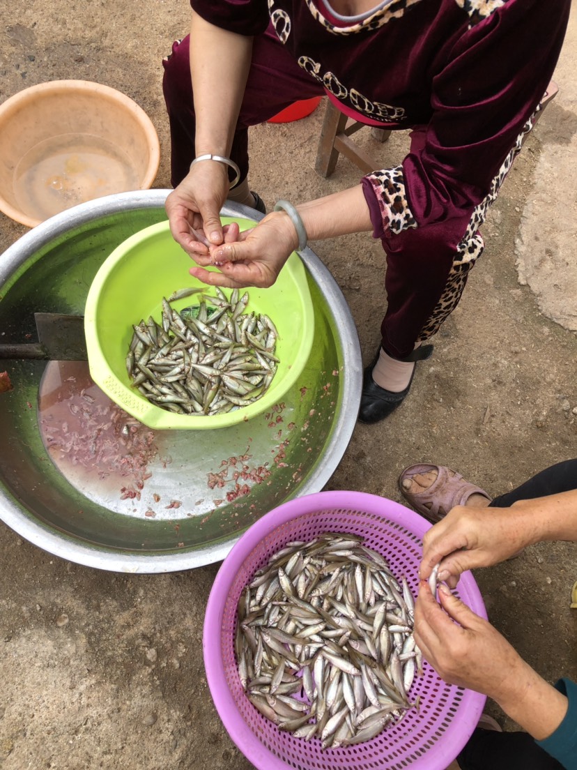 小麦穗鱼干 烟熏麦穗鱼—-千金易得、好鱼难求。一切