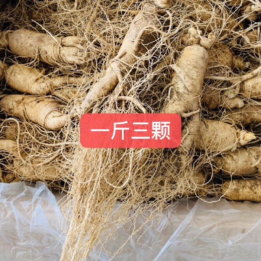 抚松县园参 六年鲜参一斤三颗，送人泡酒自用