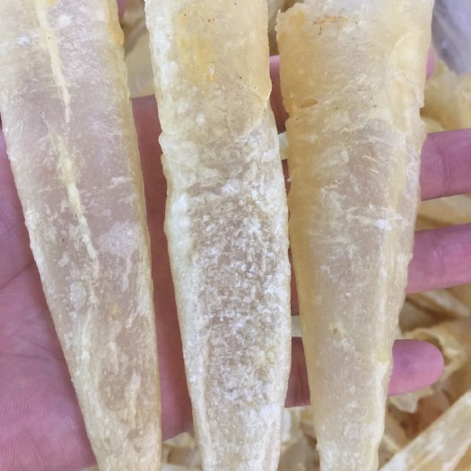 北海鱼胶
