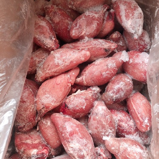 中牟县精选 国产羊宝 各种规格 个头均匀烧烤店