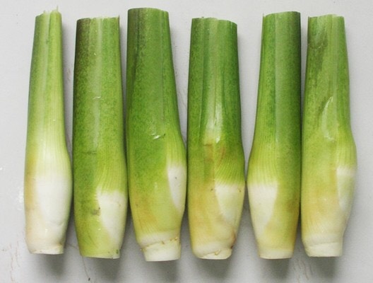 上海 练塘茭白水中人参