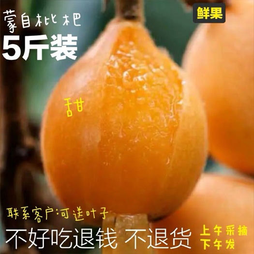 屏边县 5斤新鲜云南蒙自枇杷 枇杷鲜果  甜枇杷果孕妇水果 非四川