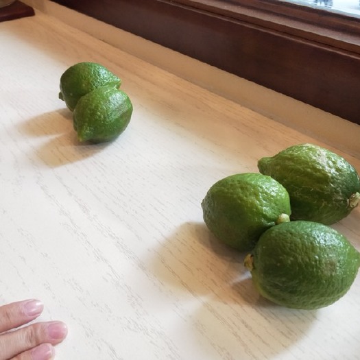 广州广东香水柠檬 货量大 需要的老板直接私聊